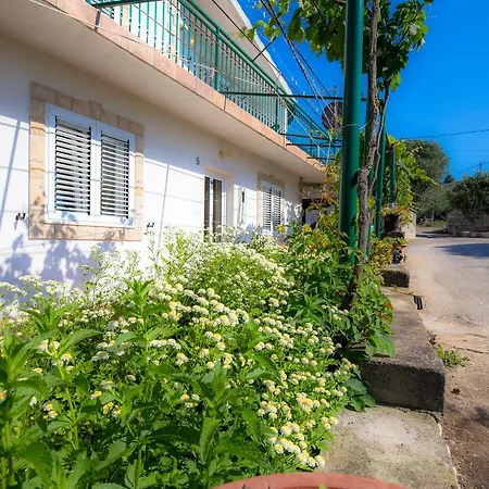 Apartamento Zlatko